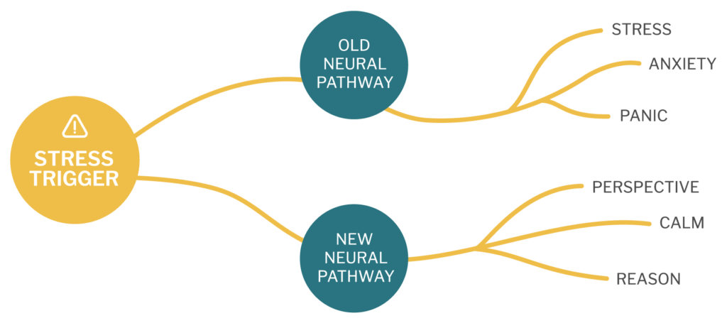 neural-pathways-4-current-meditation